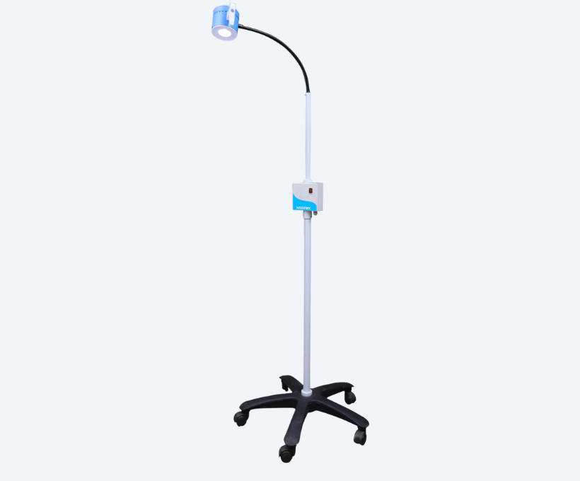 tulip-b-examination-light